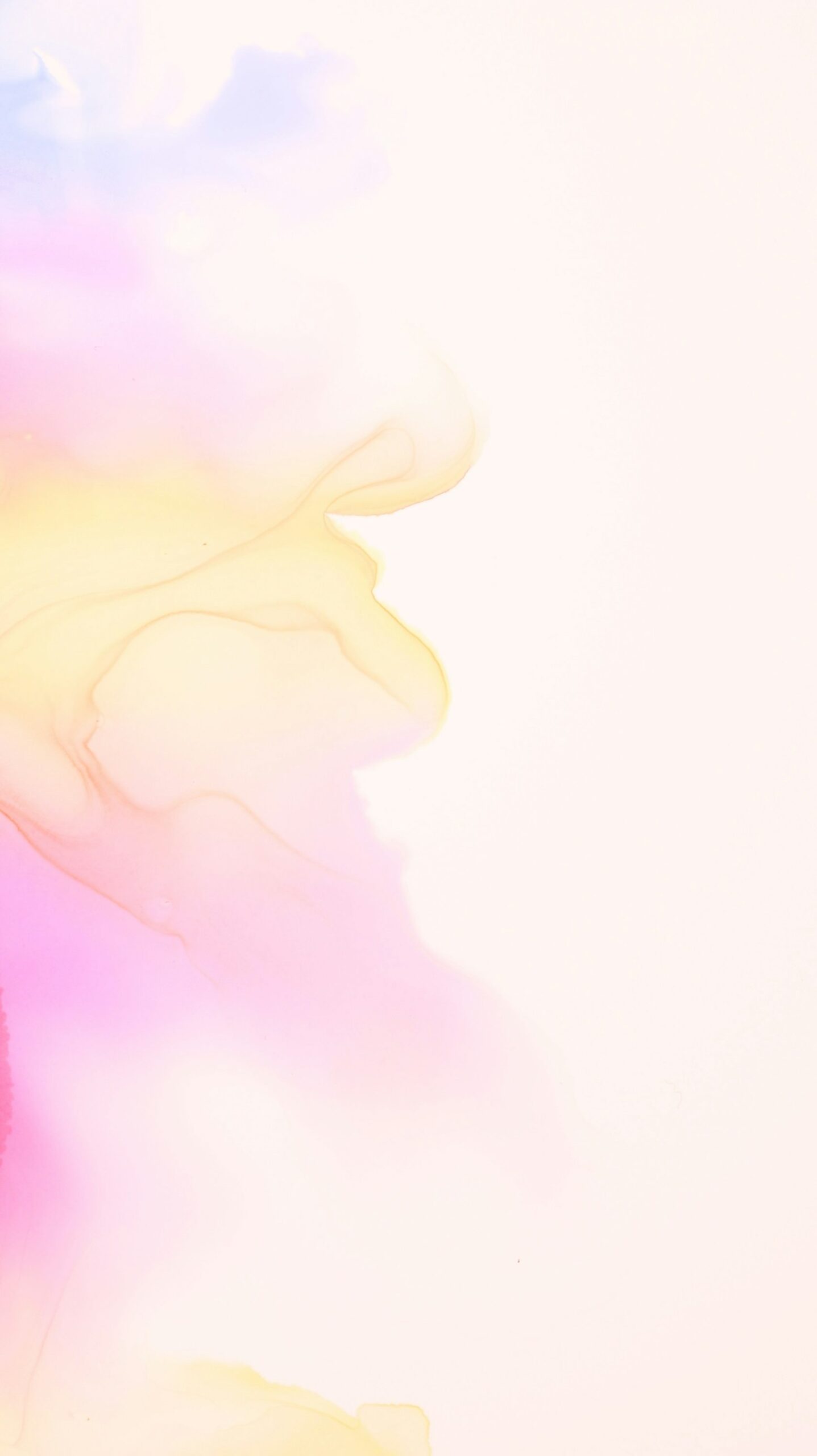 The Role of Cultural Healers in Modern Wellness