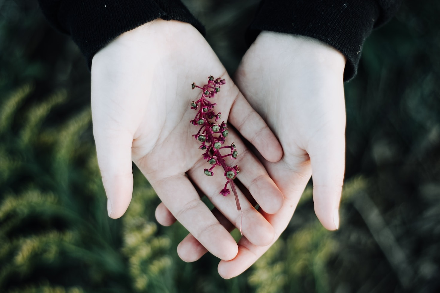 Why Somatic Experts Are Key to Healing Journeys